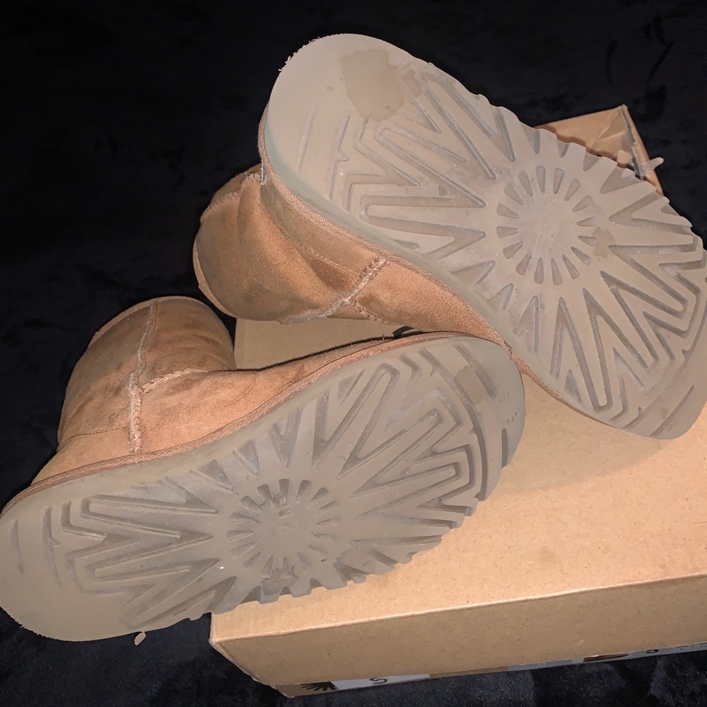 CHESTNUT UGG Classic Short II